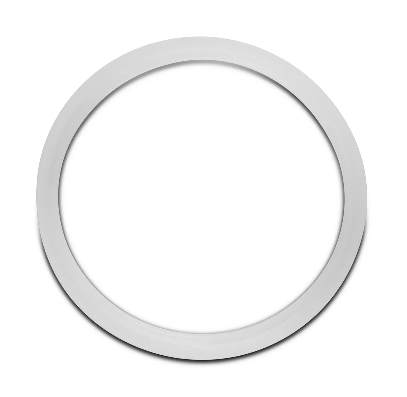 Replacement Gasket for Dutch Weave Sintered Filter Disks - Silicone Questions & Answers